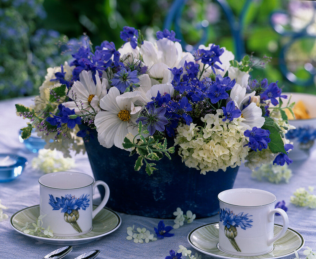 Jardiniere mit Cosmos (Schmuckkörbchen)