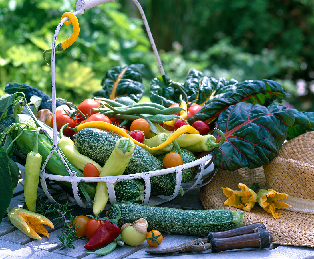 Eisenkorb mit Gemüse: Peperoni, Zucchini, Bohnen