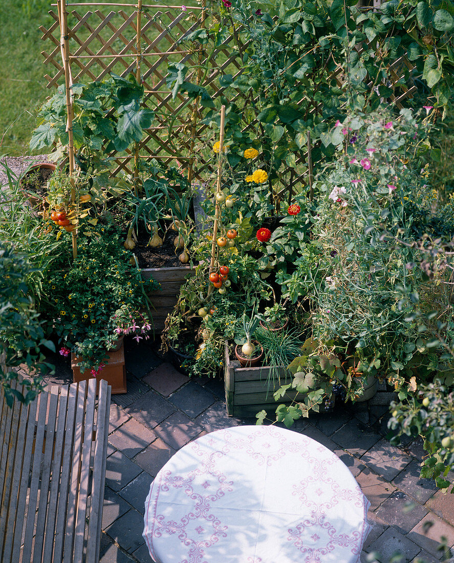 Vegetables and flowers