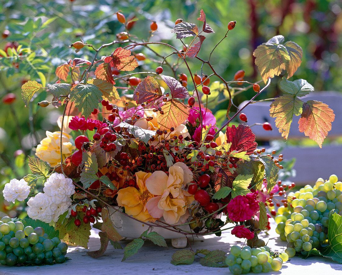 Herbstschale; Rosa / Rosenblättere und Hagebutten, Rubus