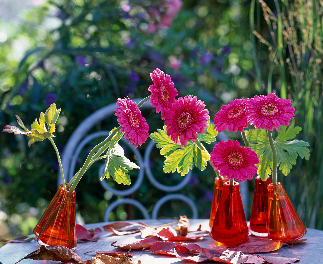 Gerbera flowers in swinging vases
