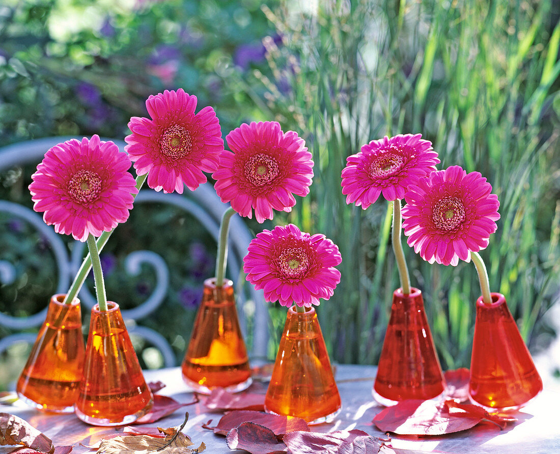 Gerbera flowers in swinging vases