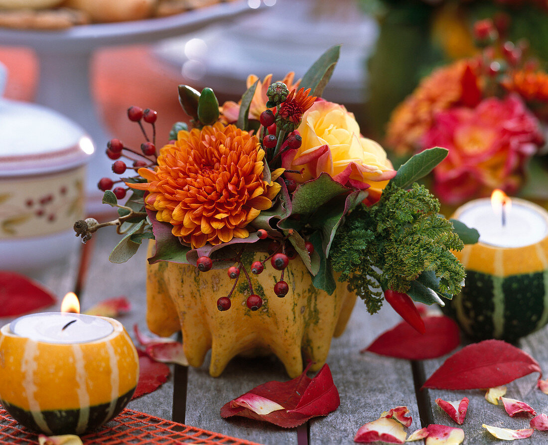 Pumpkins as flower vases and tealight holders, cucurbita, rose