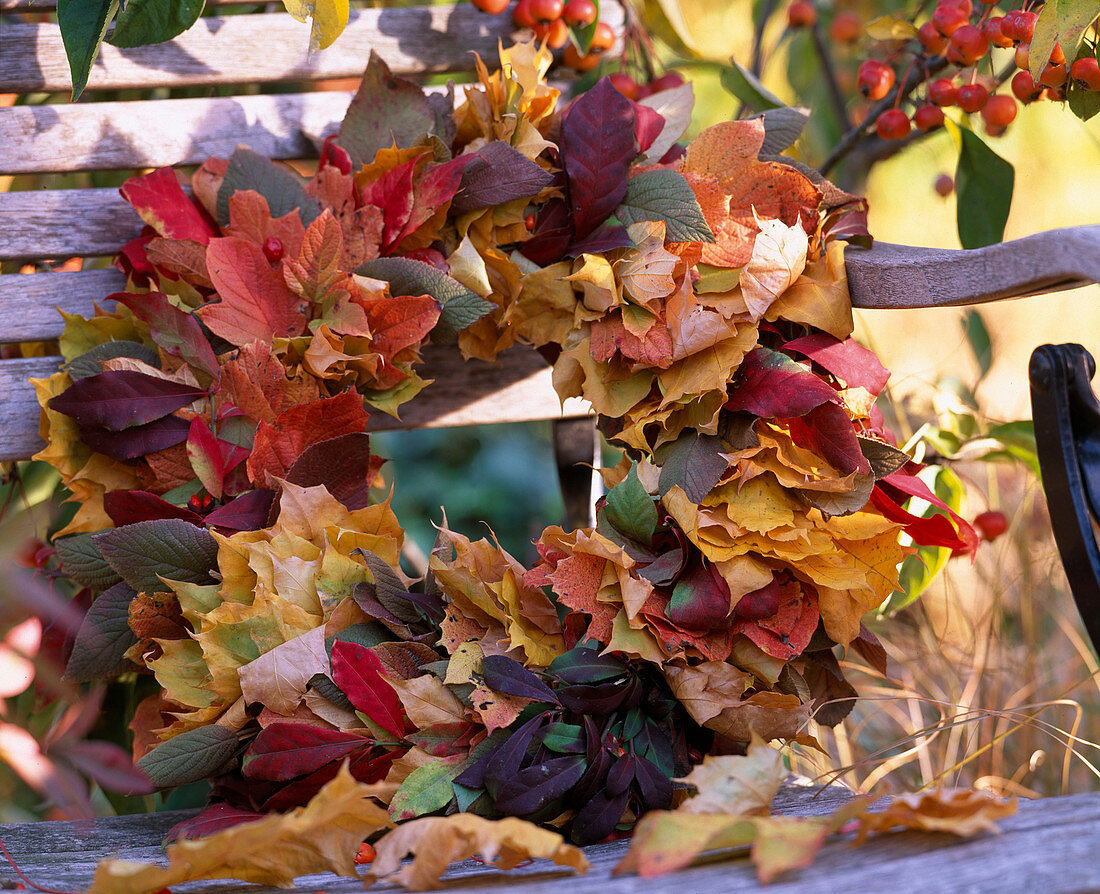 Acer maple leaf wreath, Euonymus-Pfaffenhütchen, Viburnum snowball
