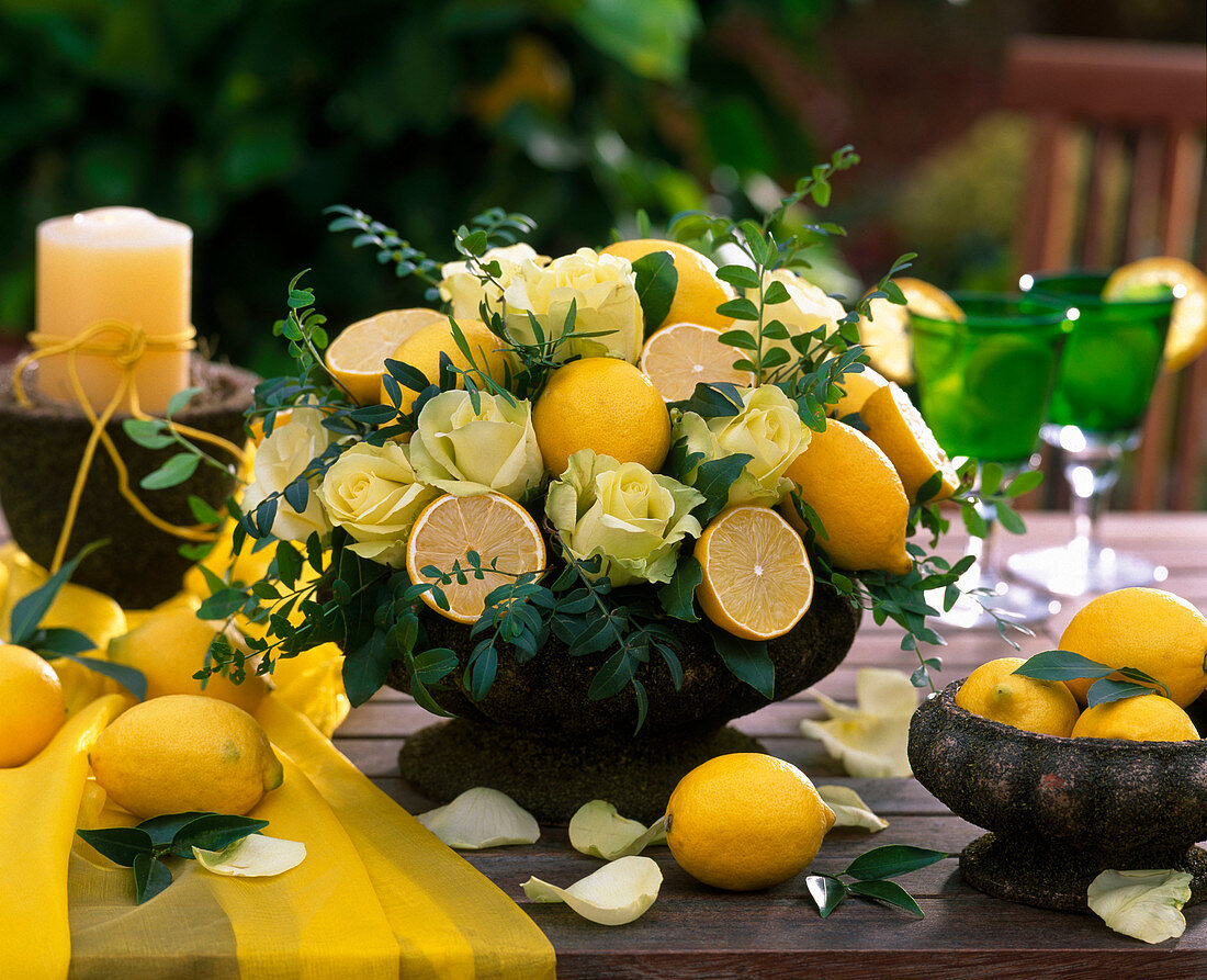Citrus limon / Zitronen, Rosa / Rose 'Hollywood', Laurus