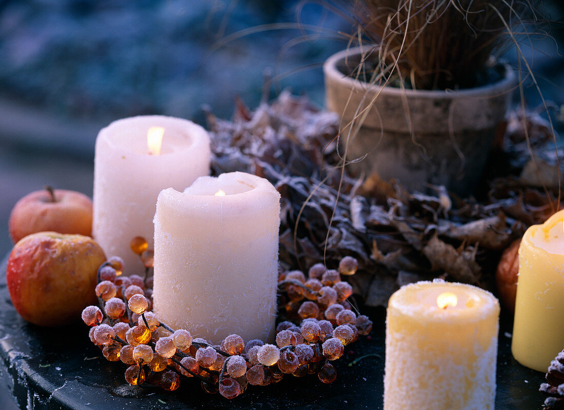 Candles with hoarfrost, Malus (apple), Acer (maple)