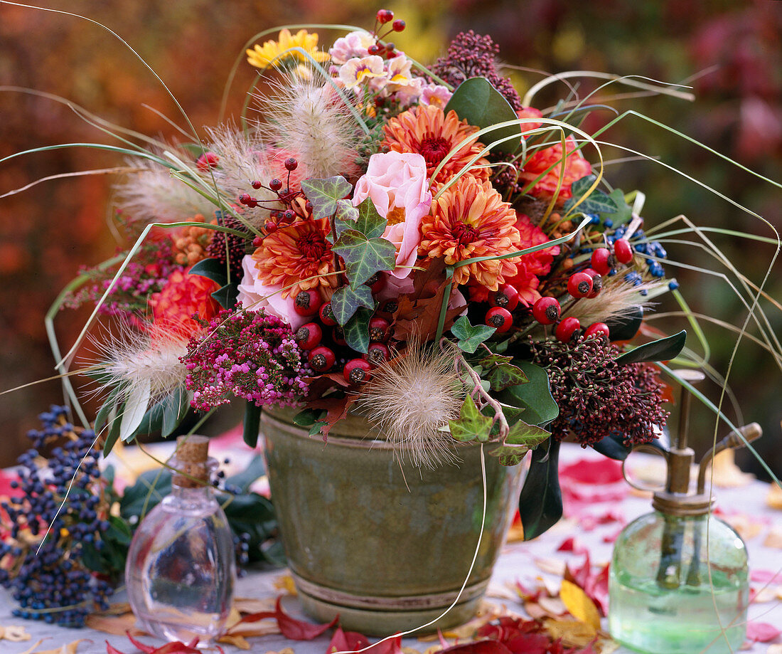 Chrysanthemum, Rosa (rose and rosehips, Skimmia, Erica