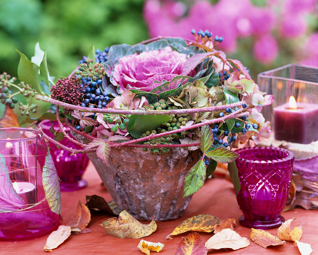 Brassica / Zierkohl, Rubus / Brombeerranke, Hedera / Efeu, Viburnum tinus