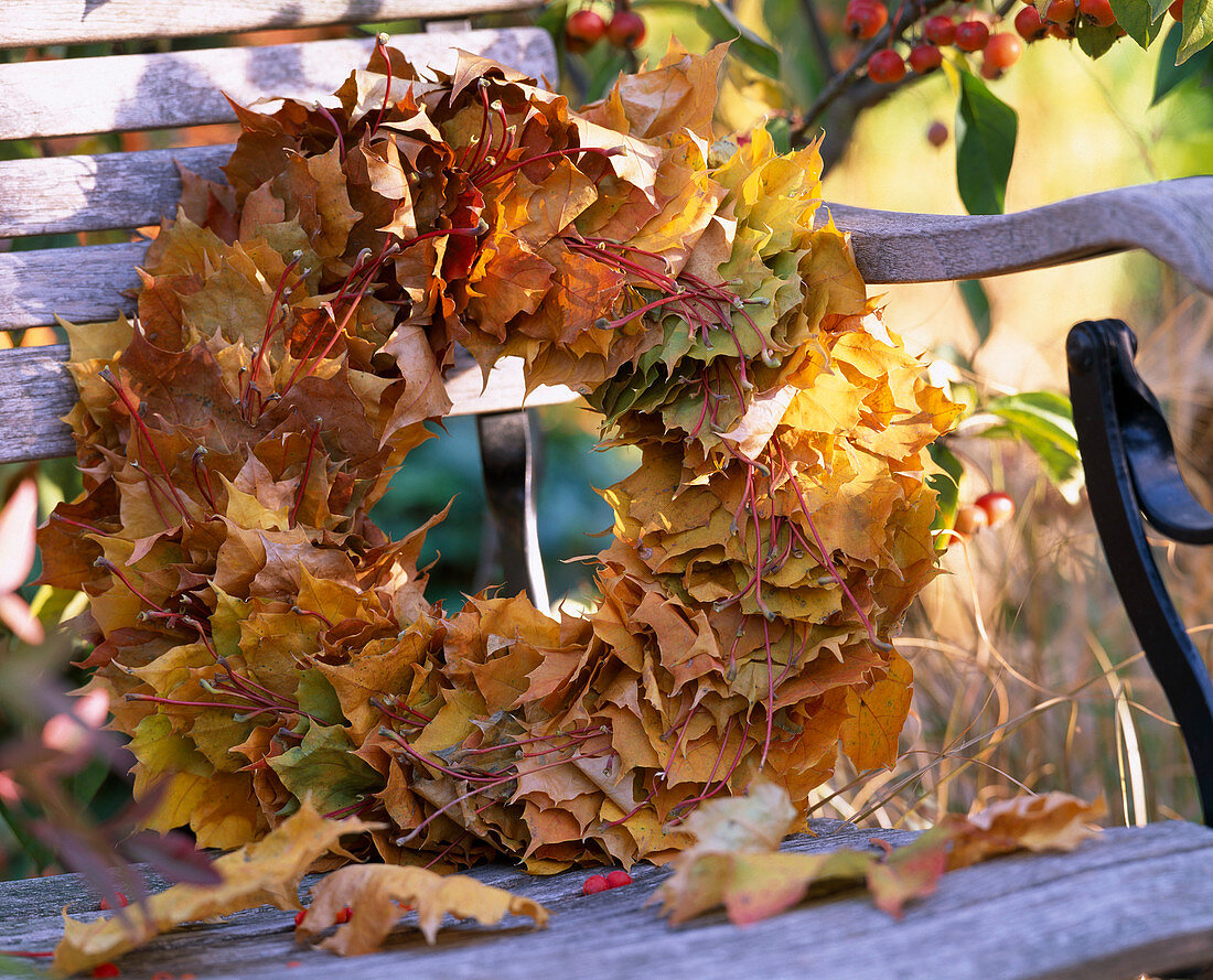 Acer leaf Wreath (maple leaves)