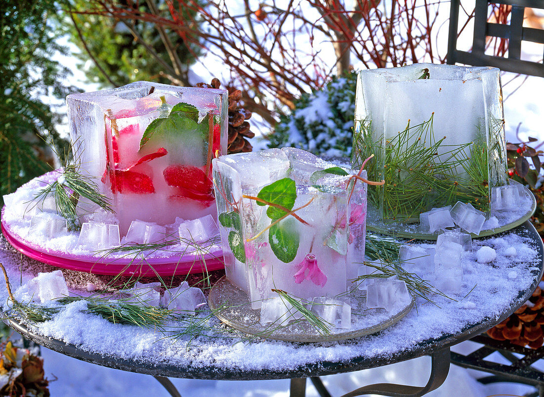 Ice lanterns with flowers, leaves and pine needles