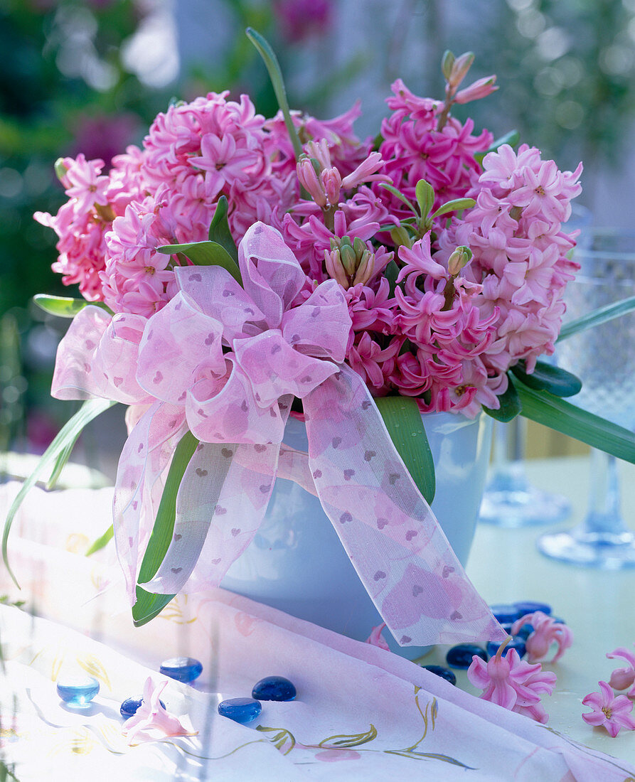 Hyacinthus orientalis (hyacinth) bouquet with a bow