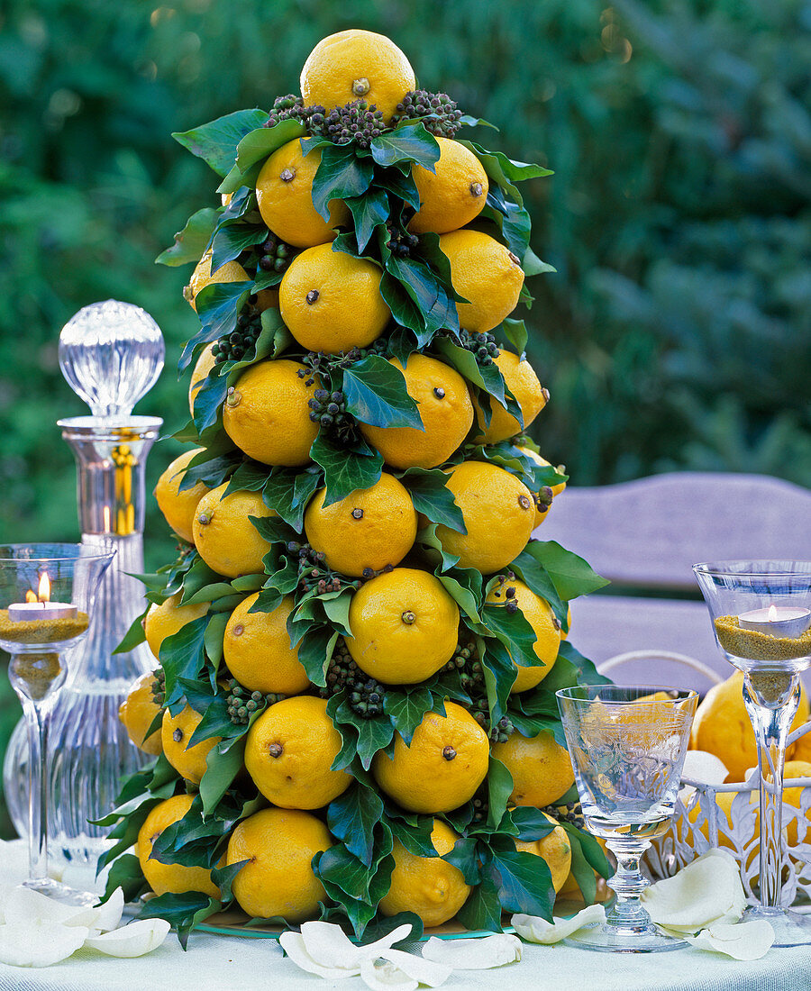 Zitronenpyramide fertig gesteckt mit Citrus limon