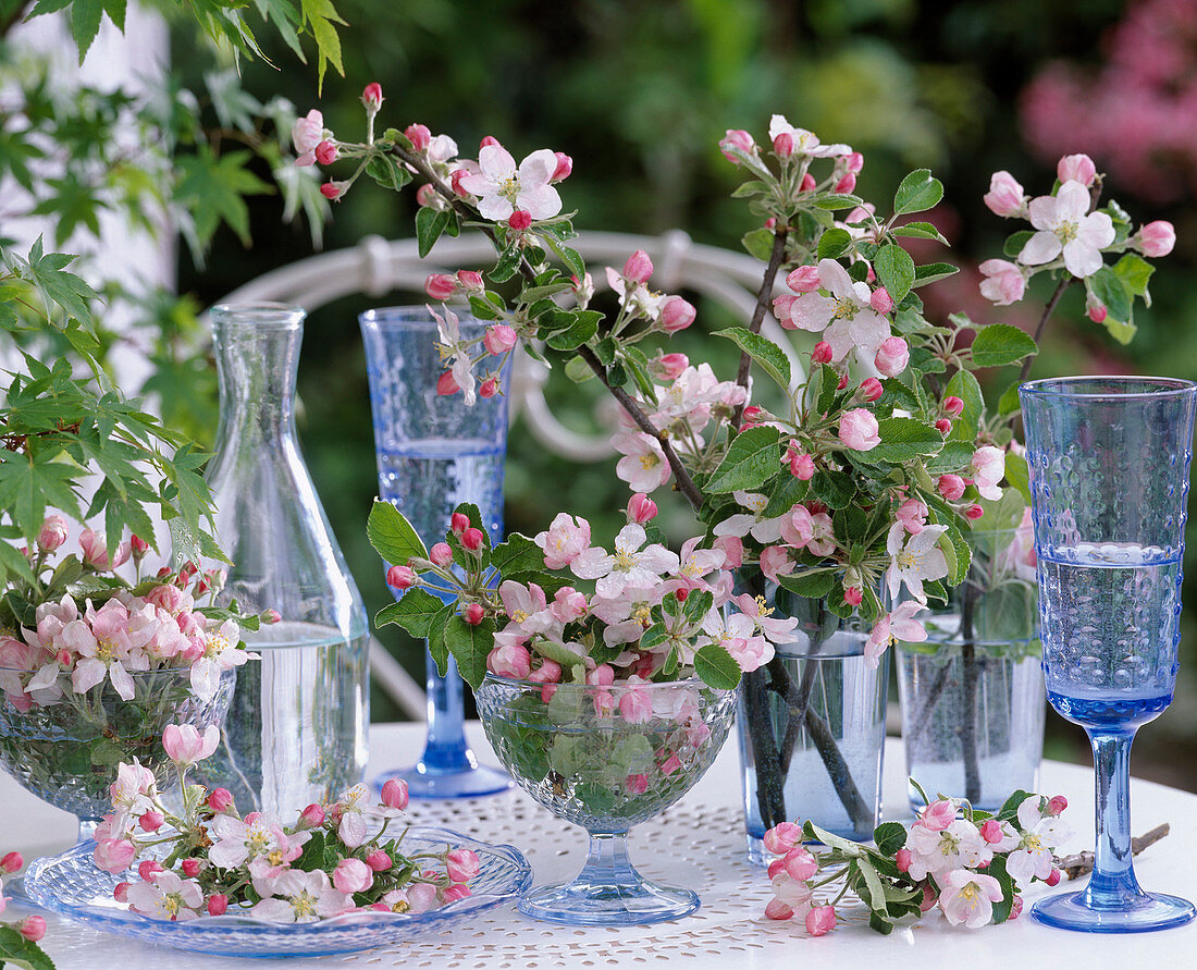 Malus (apple) flowers and branches as table decoration