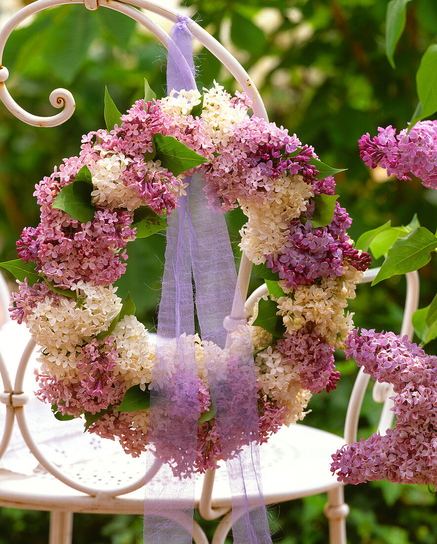 Syringa (lilac) wreath with lilac deco ribbon