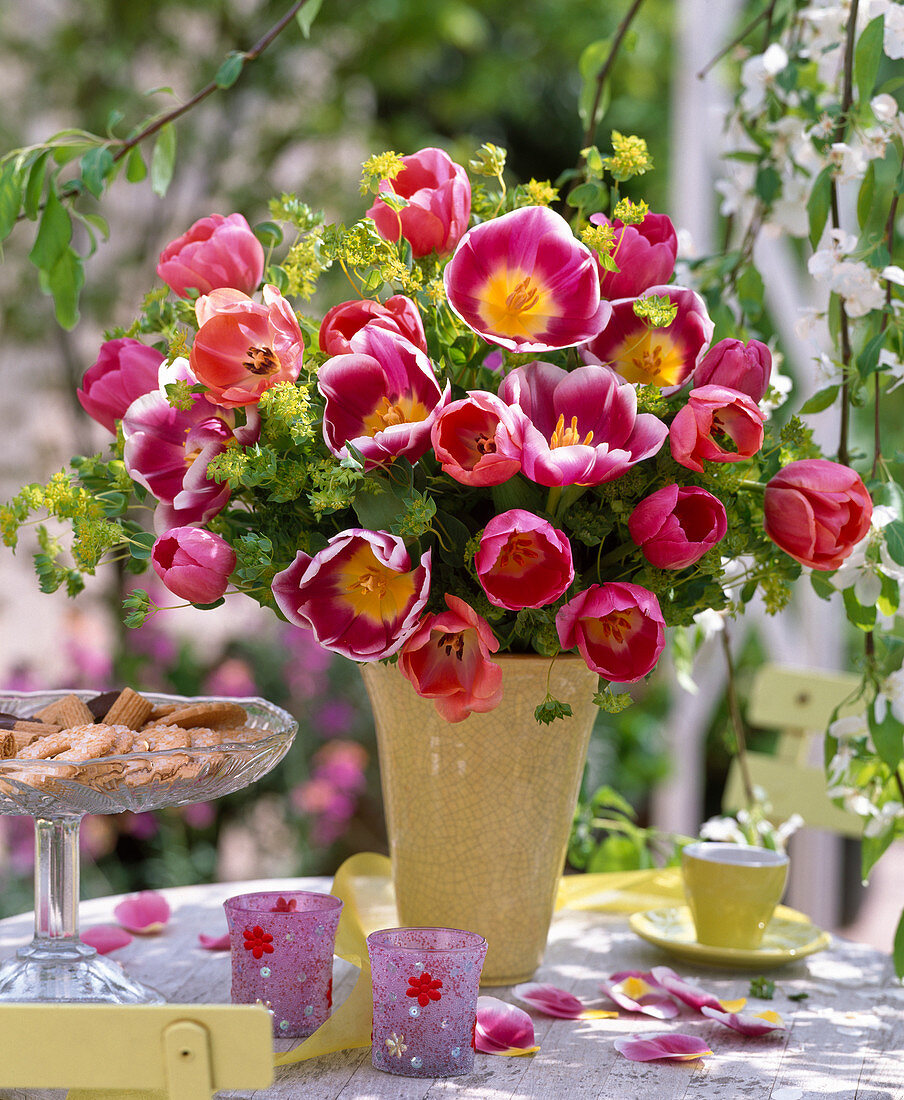 Tulipa / Tulpen, Euphorbia / Wolfsmilch, gelbe Vase