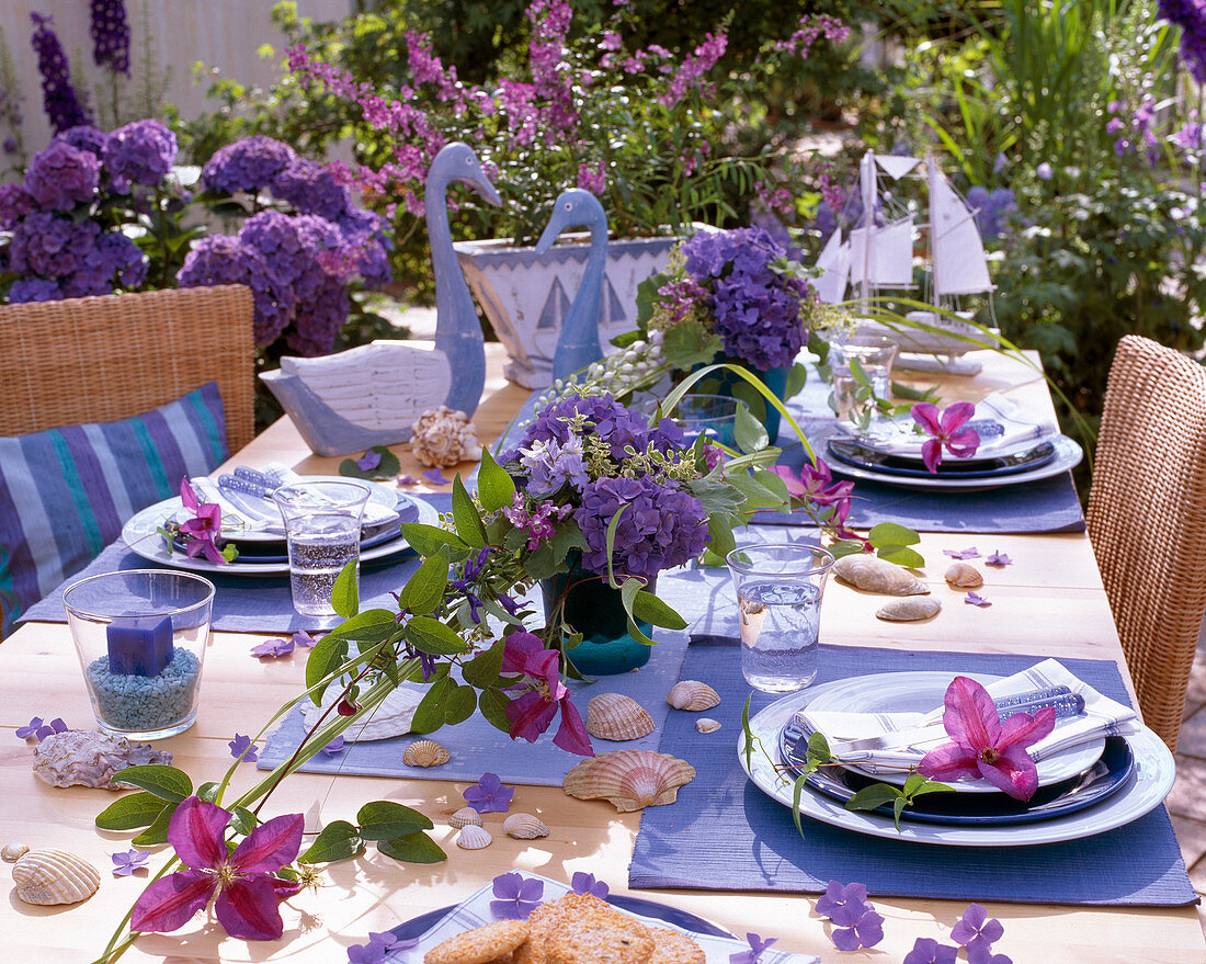 Maritime, hydrangea (hydrangea), clematis (clematis)