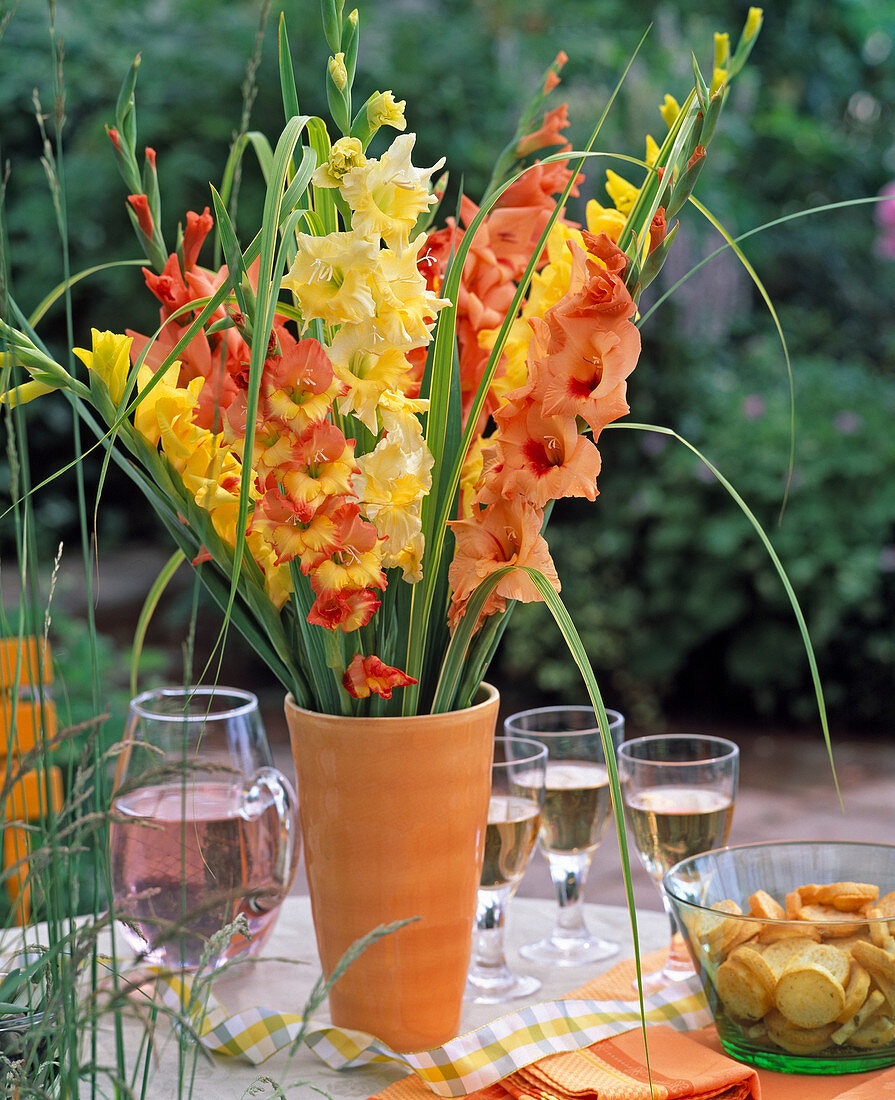 Gladiolus / Gladiolen, Spartina / Goldleistengras