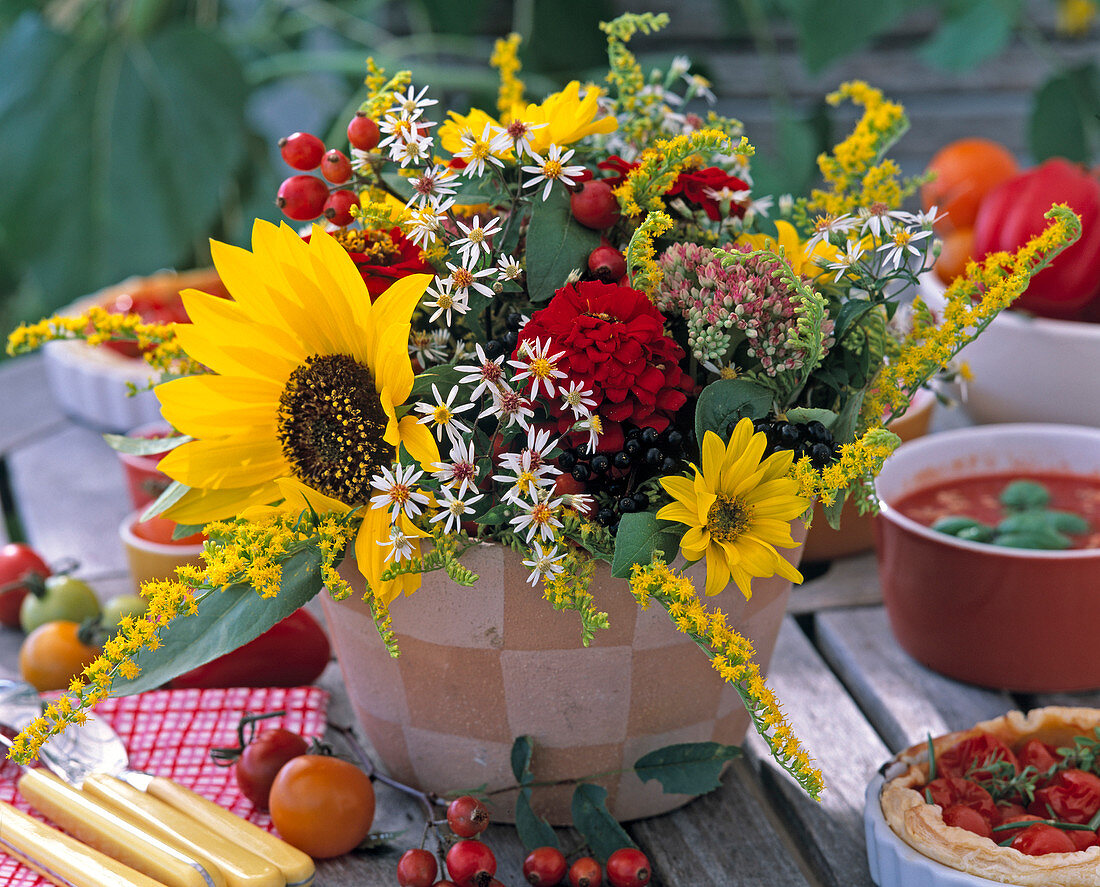 Helianthus / Sonnenblume, Aster / Myrtenaster