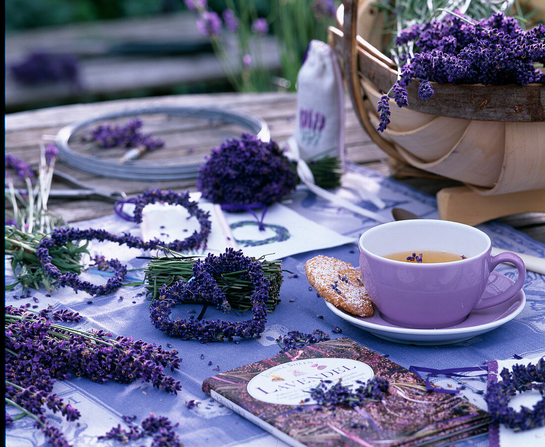 Lavandula (lavender) as a cut