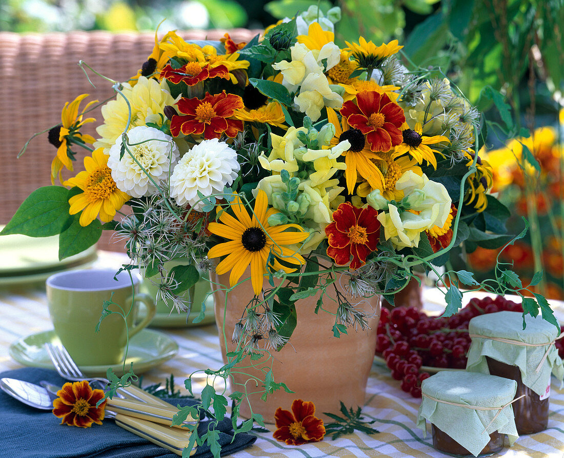 Tagetes / Studentenblumen, Rudbeckia / Sonnenhut