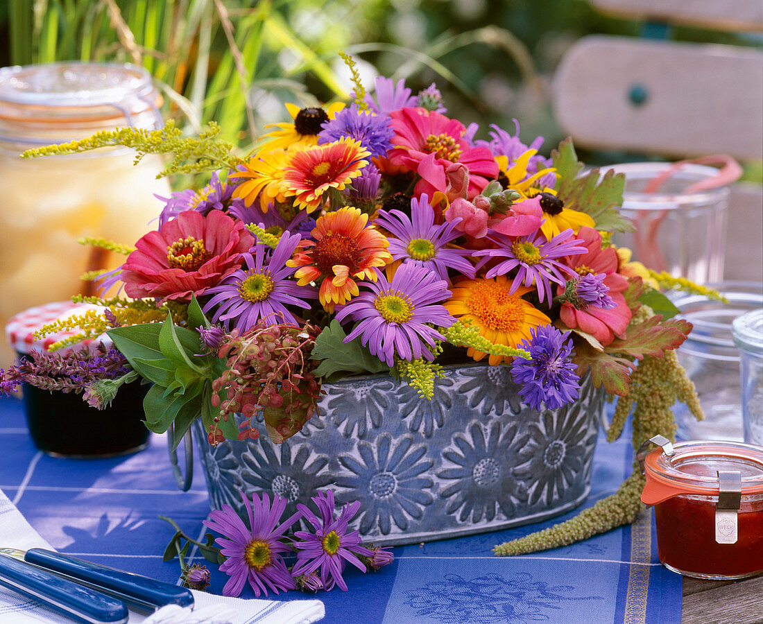 Aster amellus / Astern, Calendula / Ringelblumen