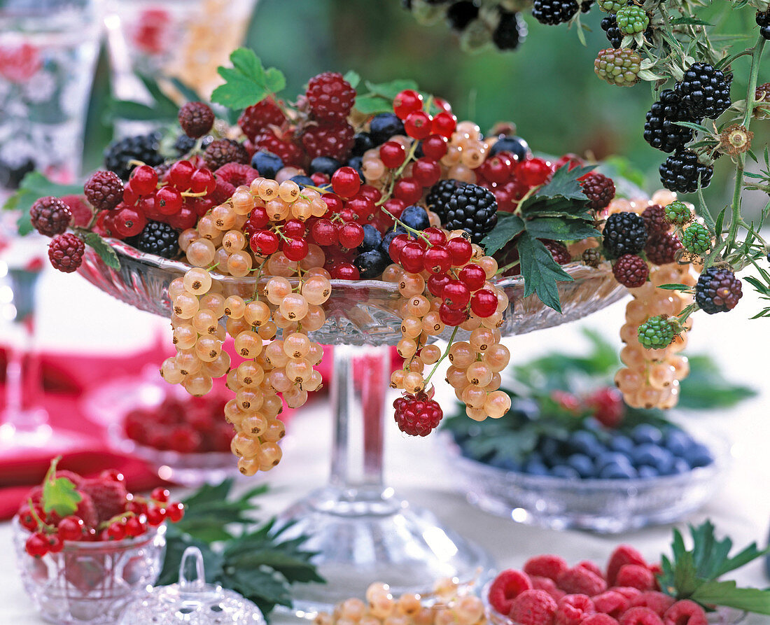 Crystal bowl with white and red ribes (currant)
