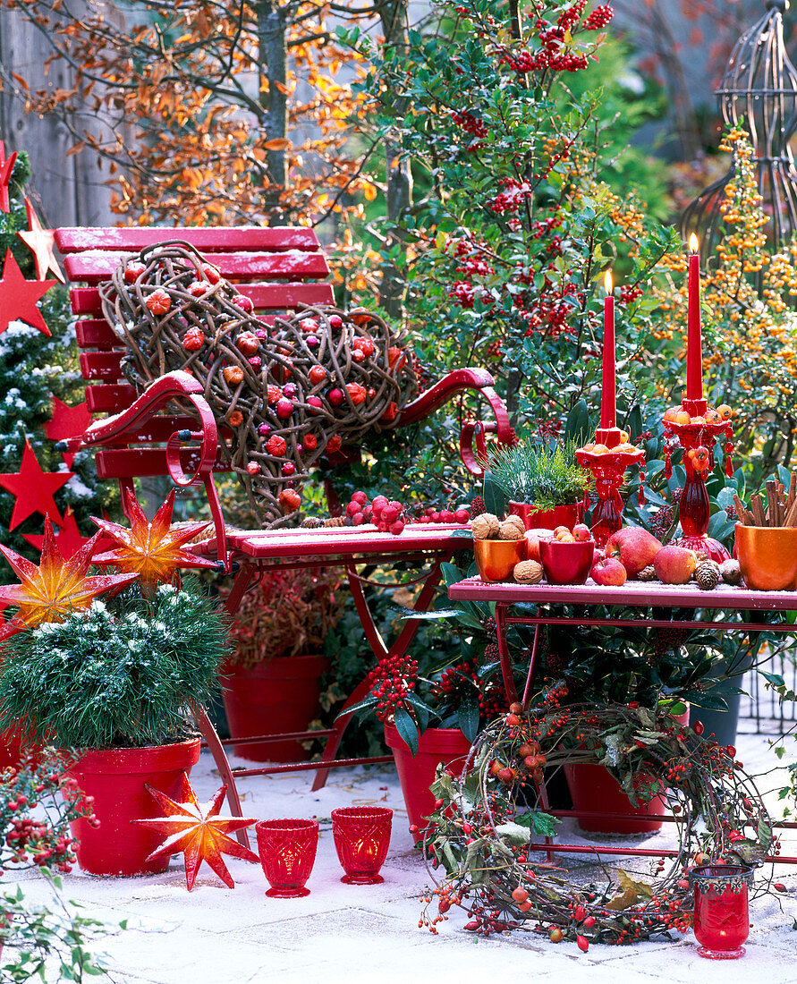 Pinus / Zwergkiefer (Nasto-Symphonie), Ilex / Stechpalme, Pyracantha / Feuerdorn