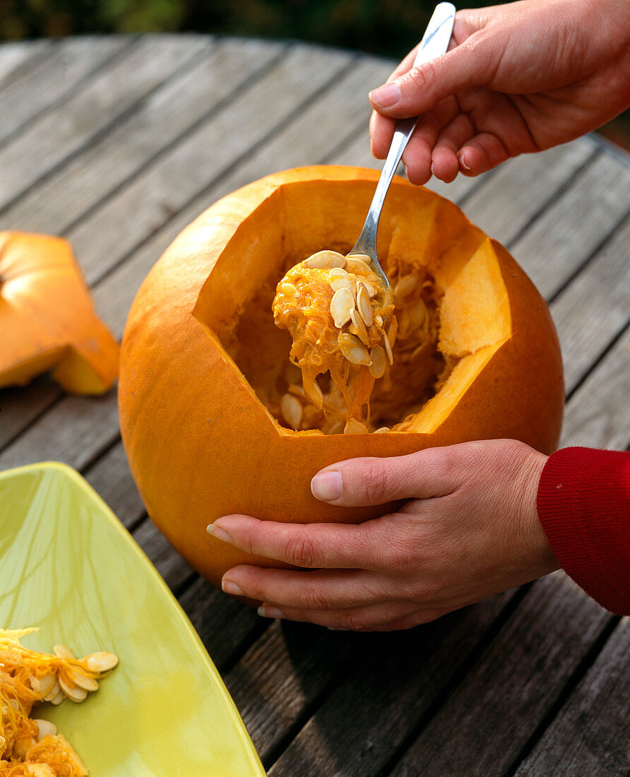 Halloween-Kürbis: 4/7. Cucurbita / Kürbis - aushöhlen