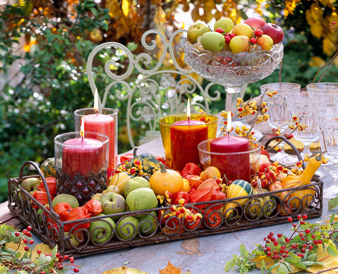 Metal tray with lanterns, Cucurbita pumpkins, Chaenomeles ornamental quinces