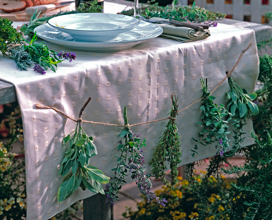 Herb bouquets on the tablecloth