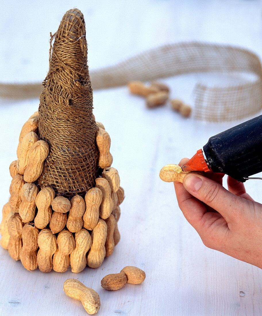 Peanut cone, peanuts with hot glue on cone glue