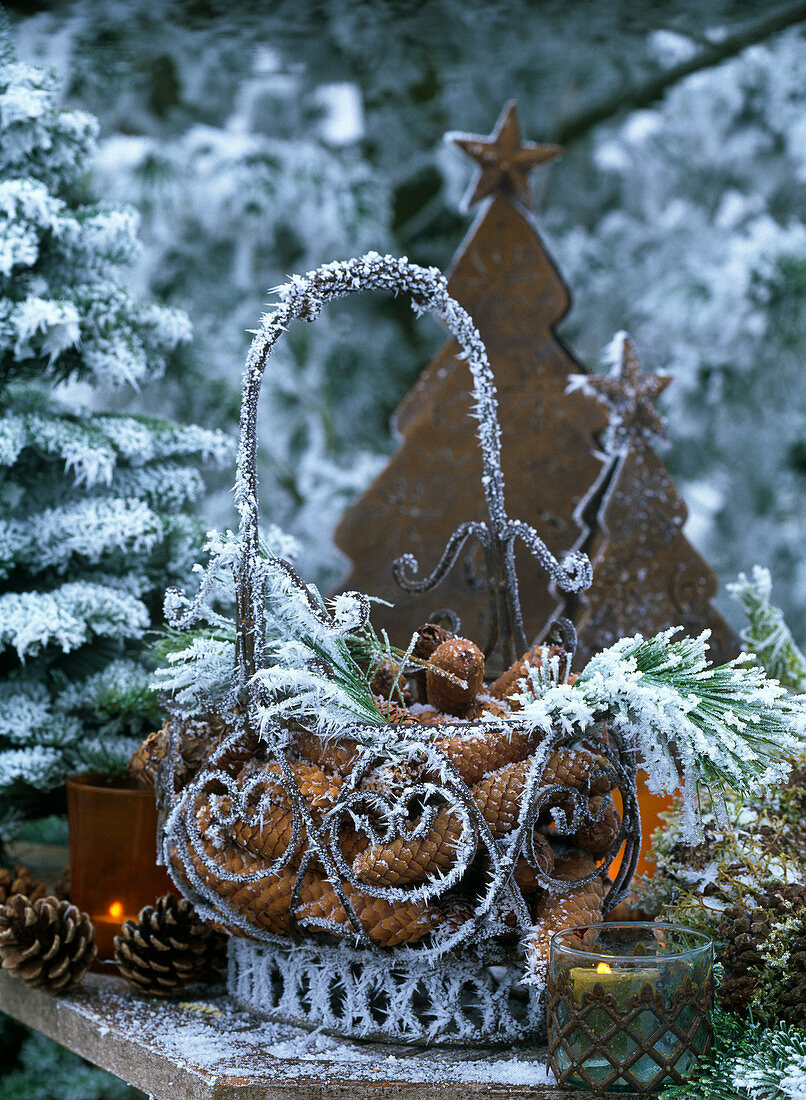 Picea / Fichtenzapfen, Pinus / Kiefer, Zapfen, Metallkorb, Metalltannenbäume