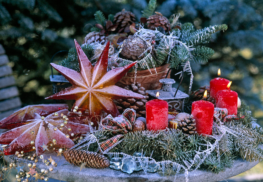 Semicircular Advent wreath with red candles, Abies-Nobilistanne, Pinus and Picea