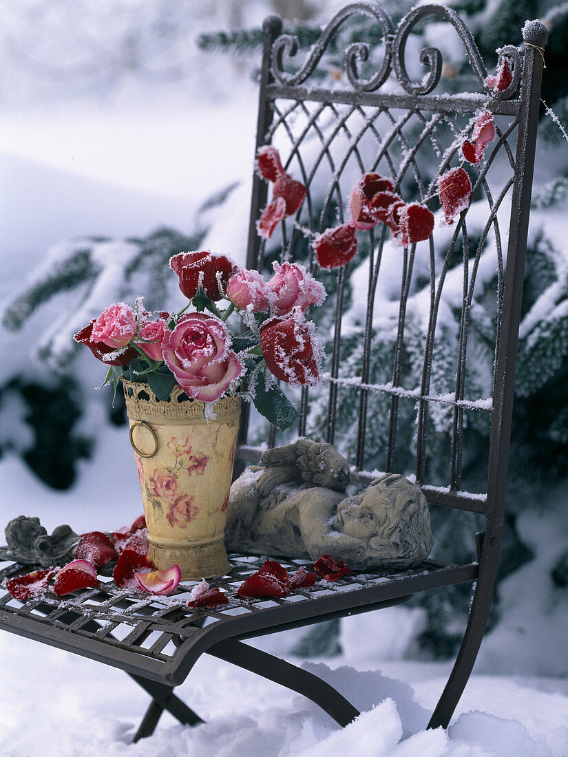 Metallstuhl mit Rosa / Rosenstrauß und Rosenblätterkette im Rauhreif
