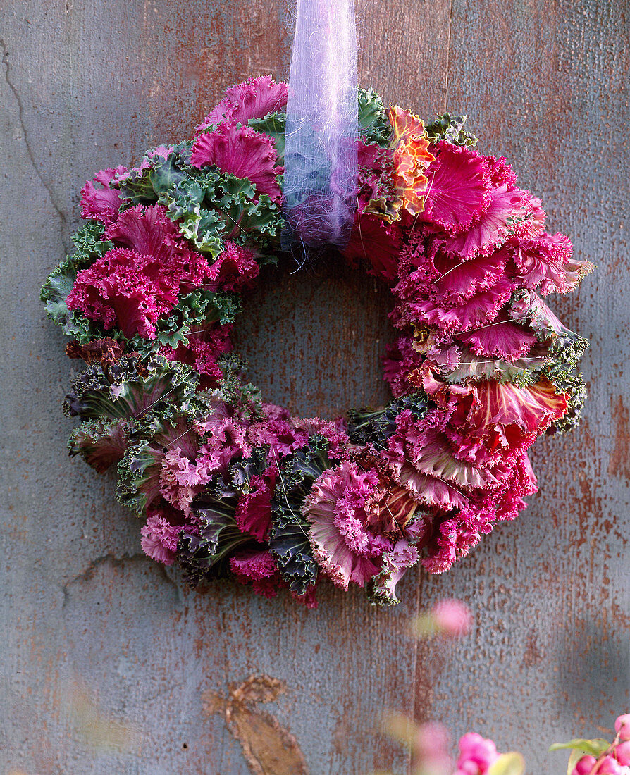 Brassica (ornamental cabbage) wreath, soft purple ribbon