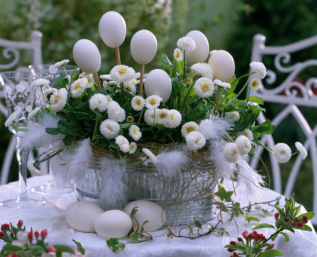 White Easter decoration, Bellis (White Daisies)