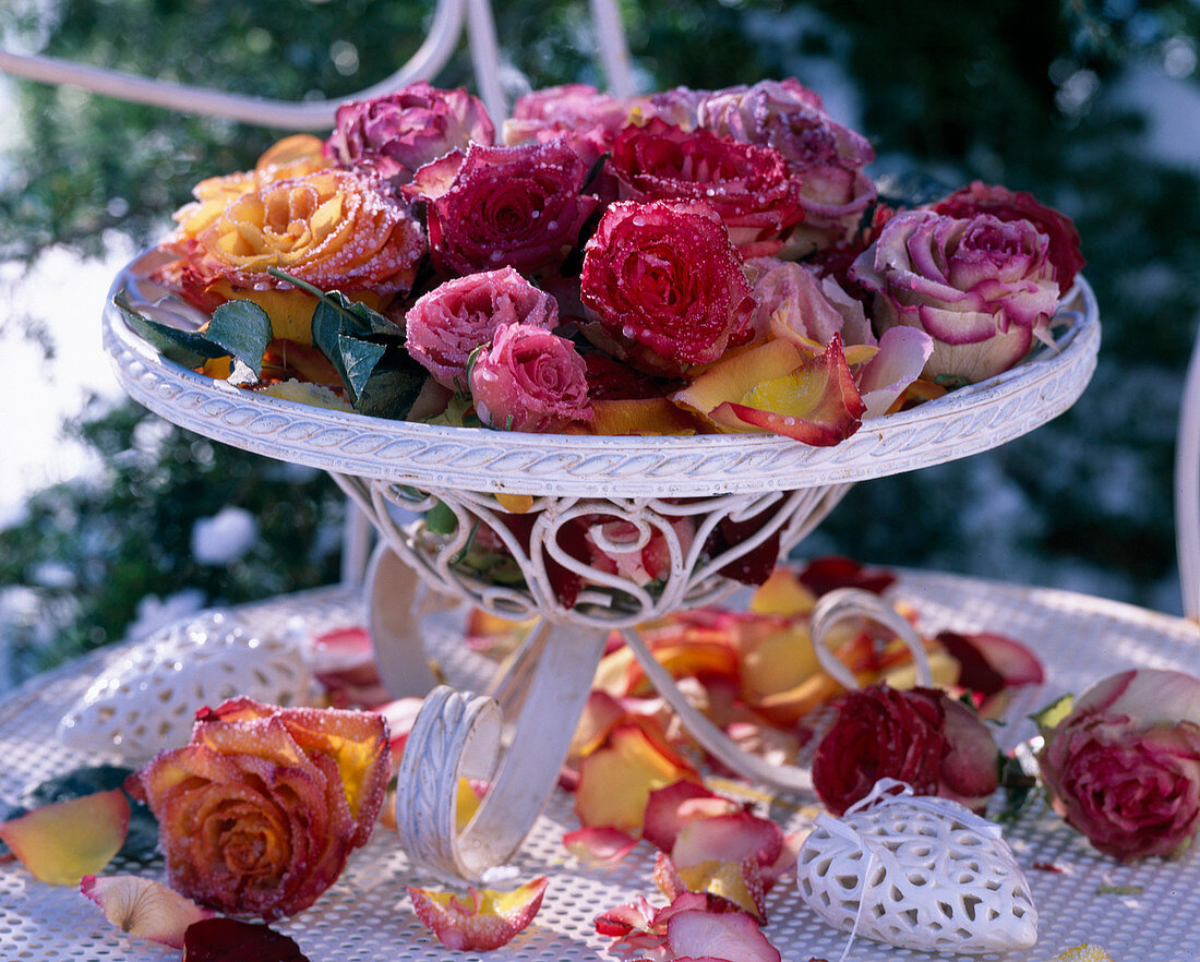 Metal basket with frozen rose petals