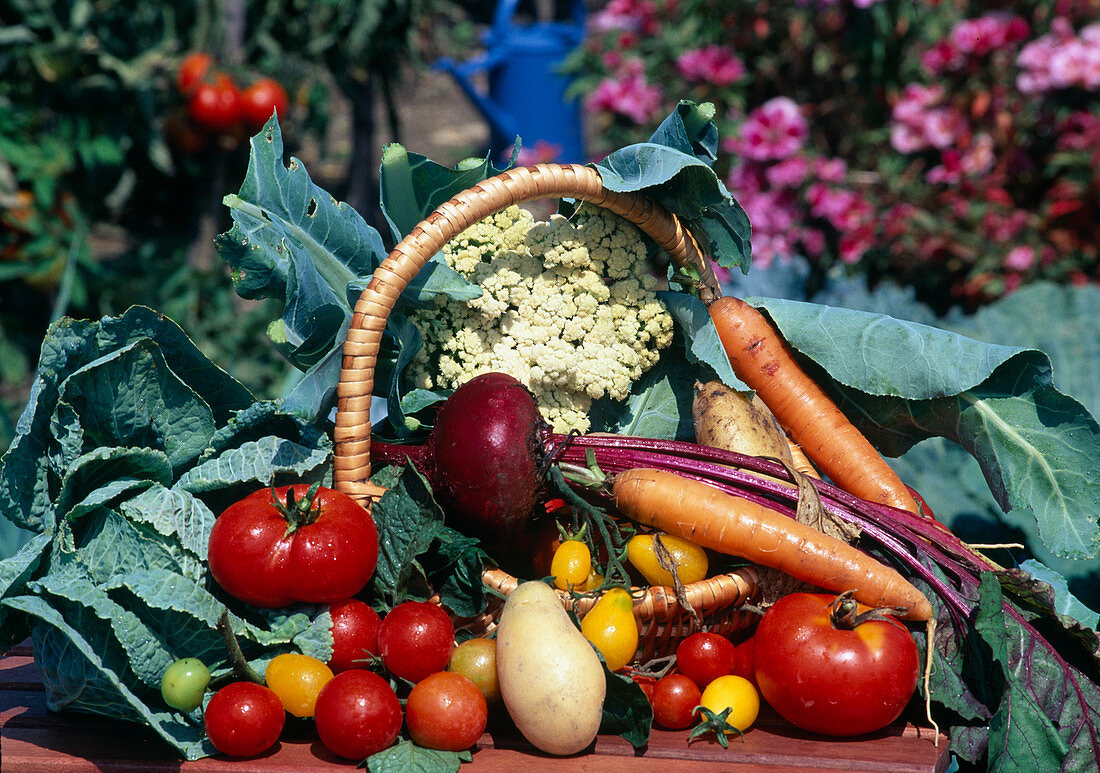 Arrangement with vegetables