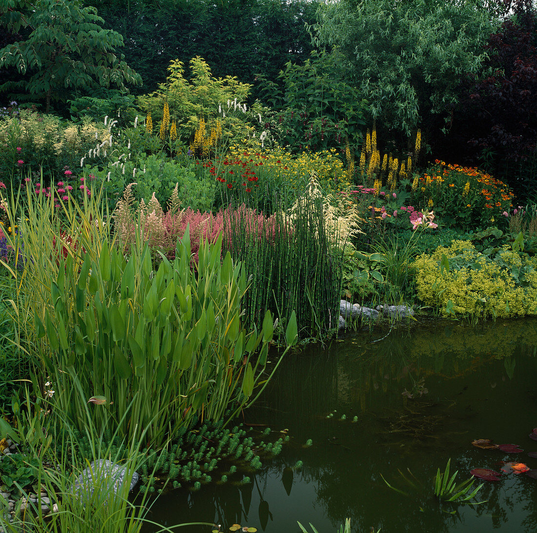 Large flowering perennial border at garden pond