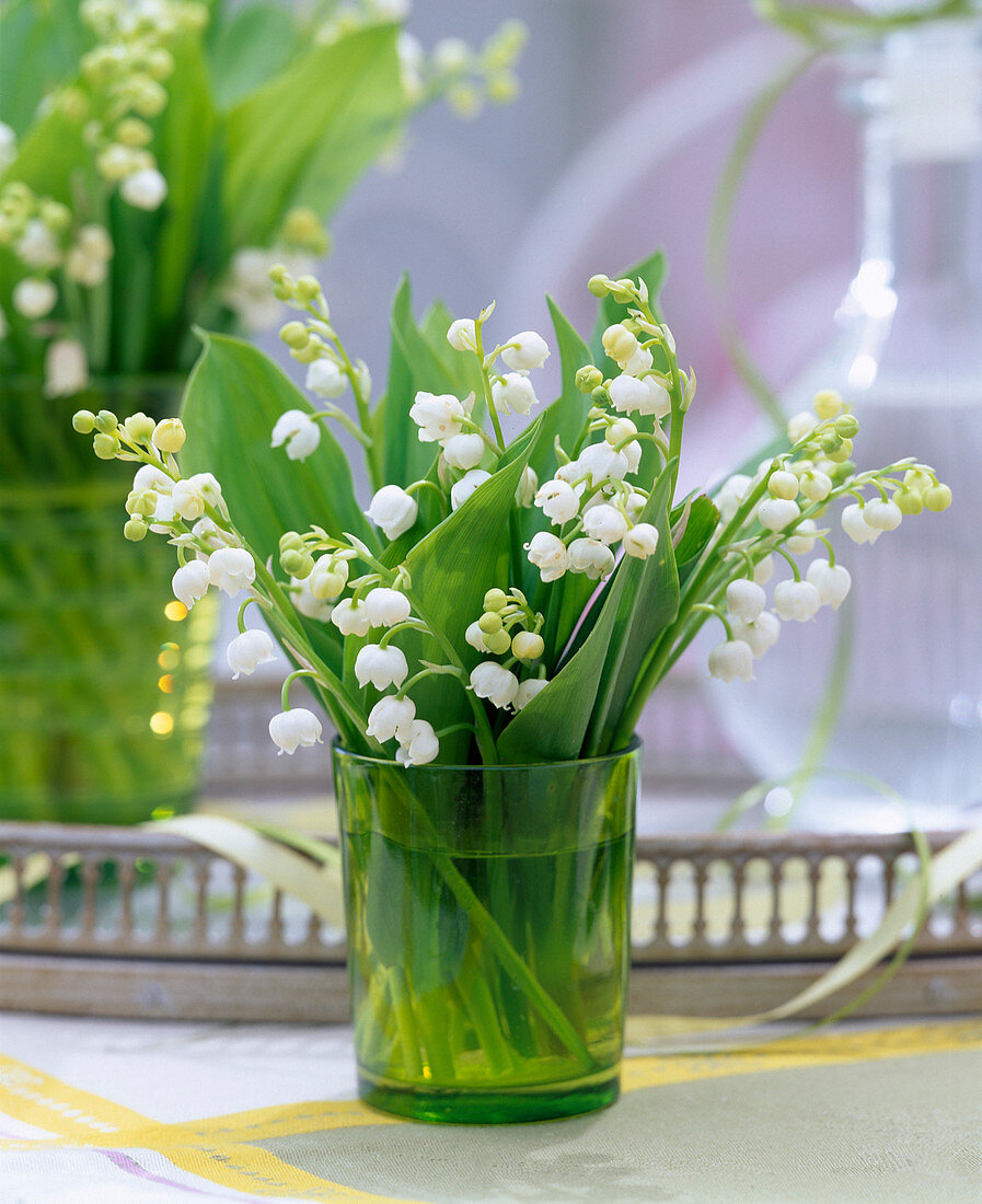 Grünes Glas mit Convallaria