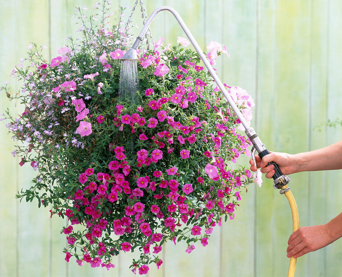 Pour hanging basket with watering rod