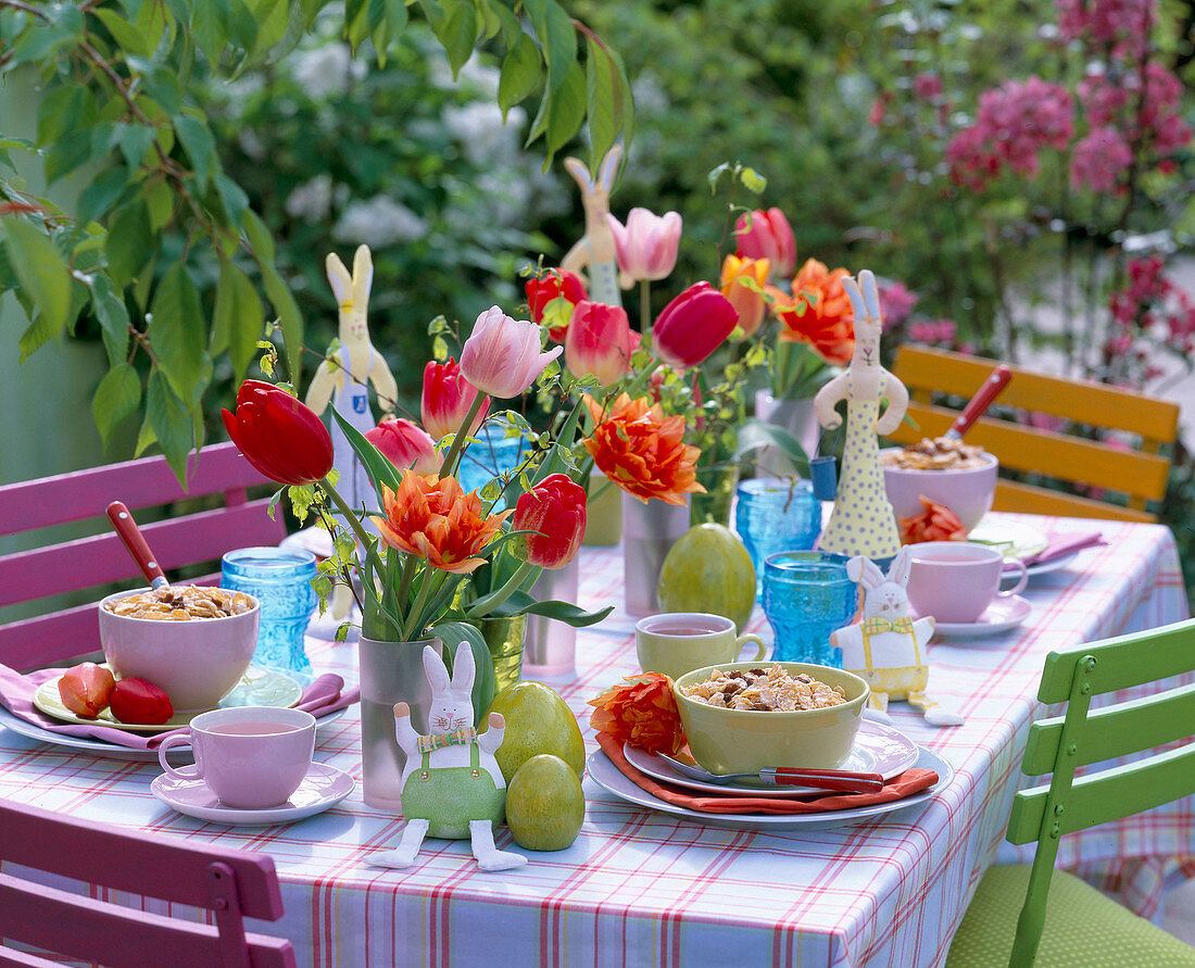 Breakfast table with different tulipa (tulips)