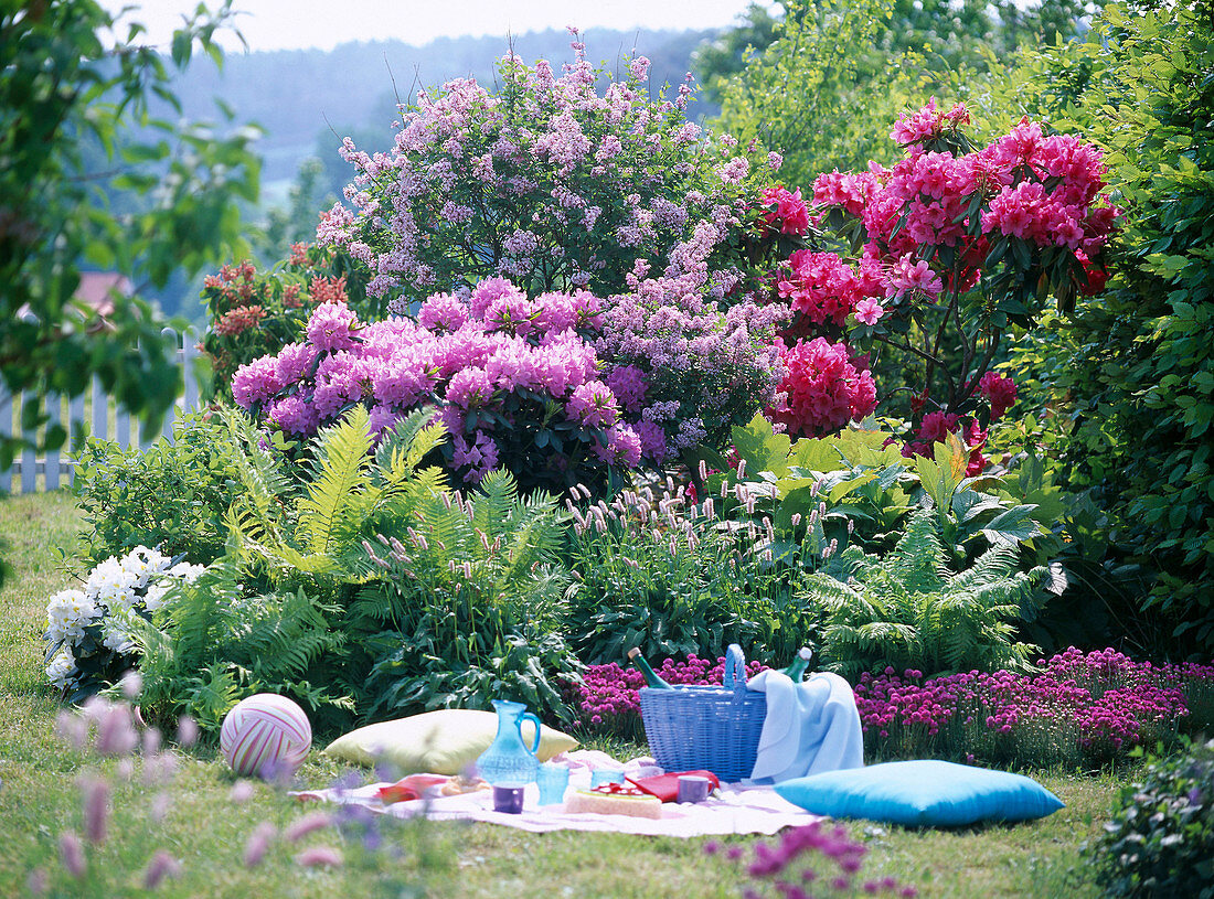 Picknickplatz: Rhododendron