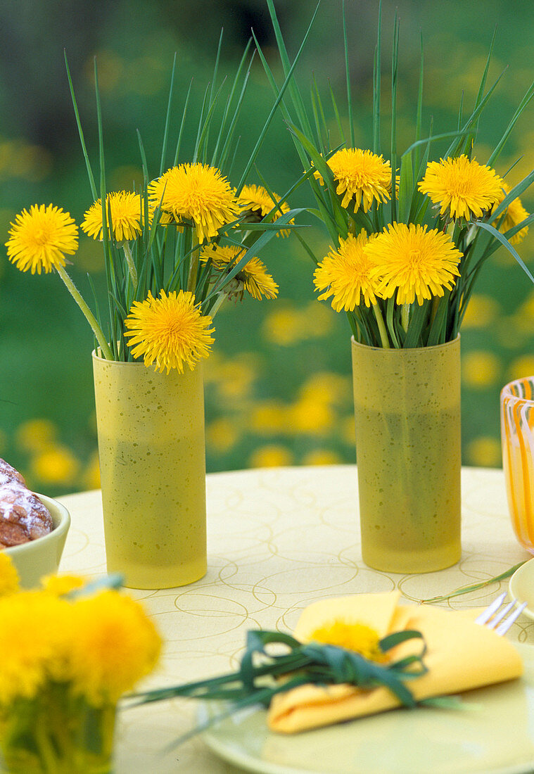 Taraxacum (Löwenzahn)