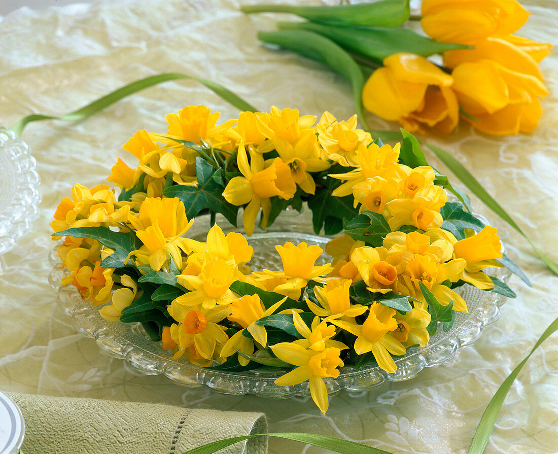 Narcissus 'Soleil D'Or', 'Tete À Tete' (Daffodil)