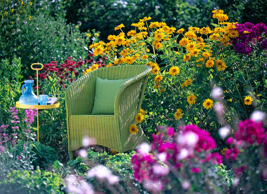 Green wicker chair in flowerbed with heliopsis (oxeye)