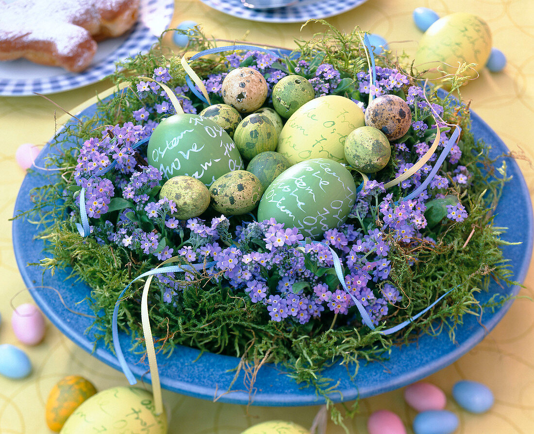 Easter nest with moss, myosotis (forget-me-not)