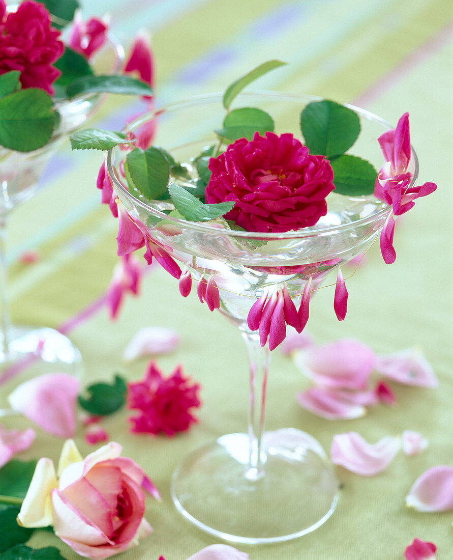 Pink 'Rose De Rescht' (scented rose)