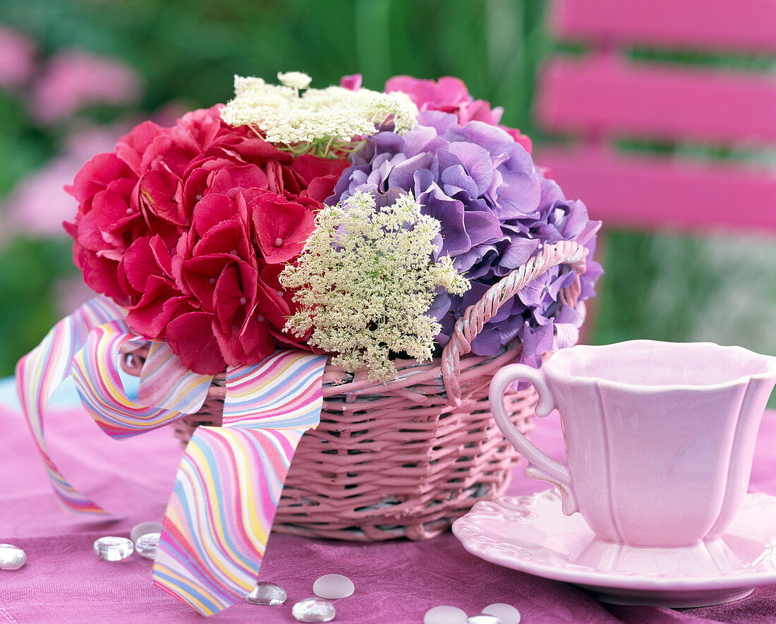 Pink basket with hydrangea (hydrangea)