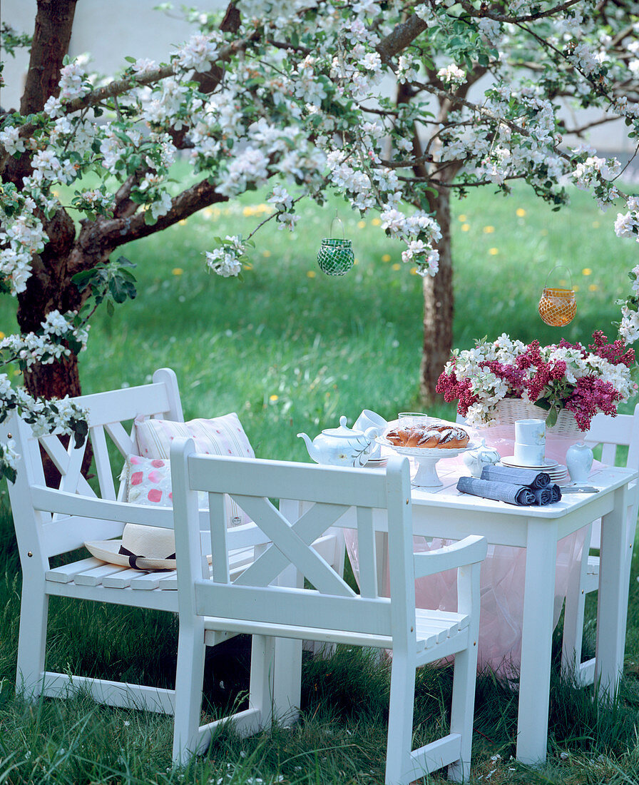 Sitzplatz unter einem blühendem Apfelbaum